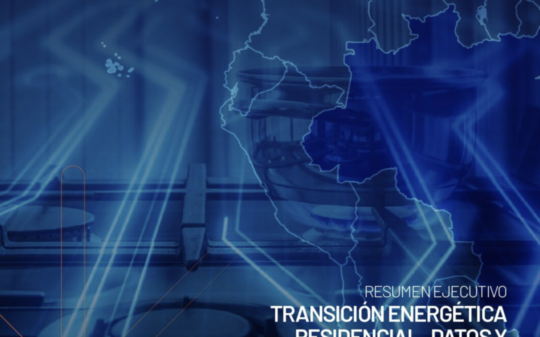 Informe: Resumen ejecutivo gráfico – Brasil